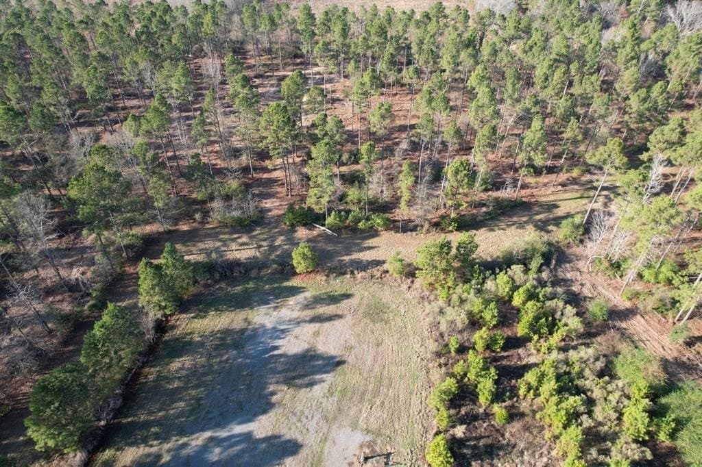 10 acres in Panola County - photo 3
