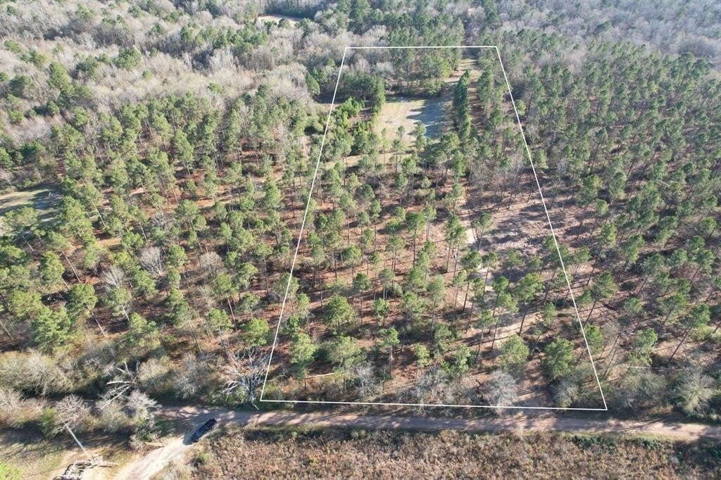 10 acres in Panola County - photo 2