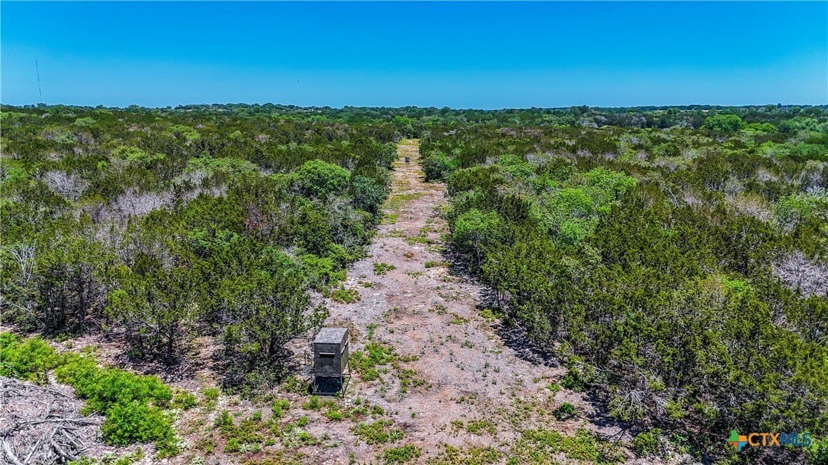 215 acres in Coryell County - photo 13