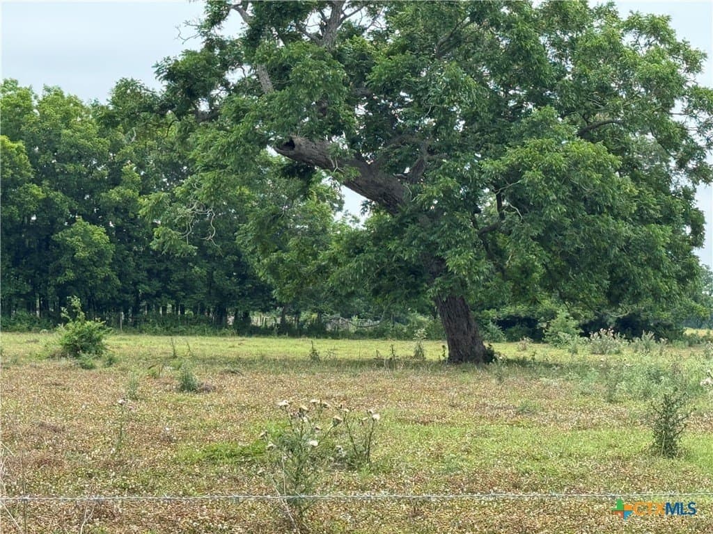 25.15 acres in Wharton County - photo 3