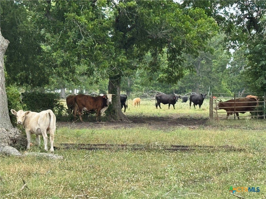 25.15 acres in Wharton County - photo 4