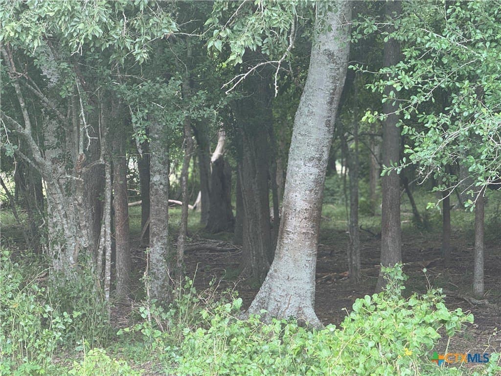 25.15 acres in Wharton County - photo 5