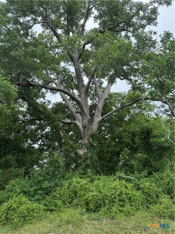 25.15 acres in Wharton County - photo 6