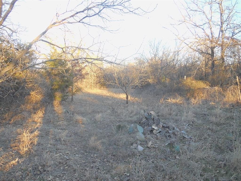 0.92 acres in Eastland County - photo 10