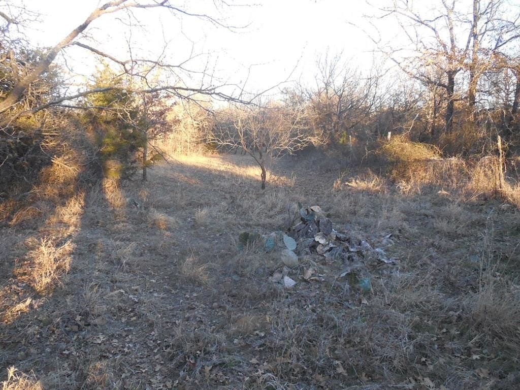 0.92 acres in Eastland County - photo 9