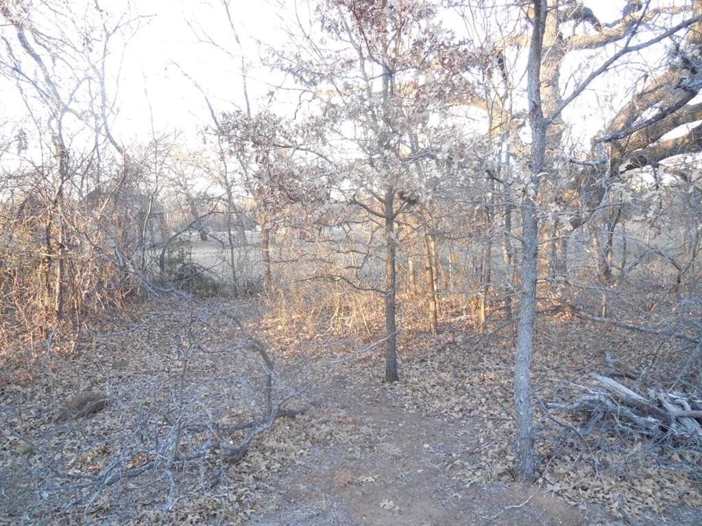 0.92 acres in Eastland County - photo 11