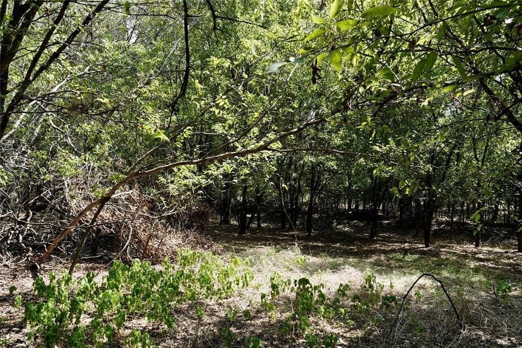 3 acres in Mills County - photo 5