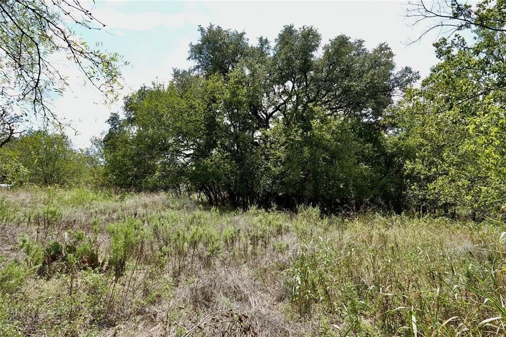 3 acres in Mills County - photo 8