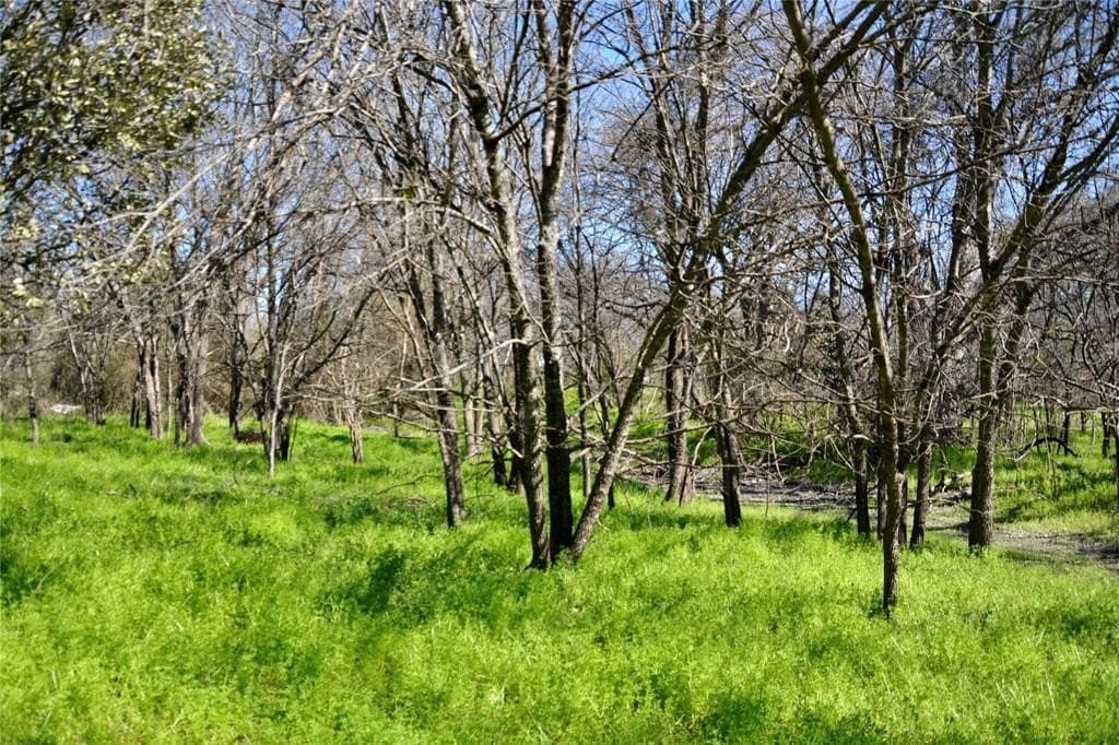 3 acres in Mills County - photo 2