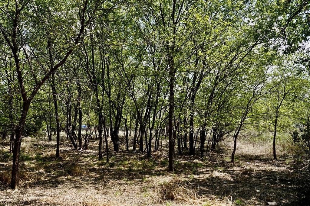 3 acres in Mills County - photo 7