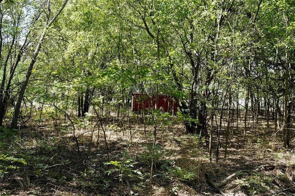 3 acres in Mills County - photo 13