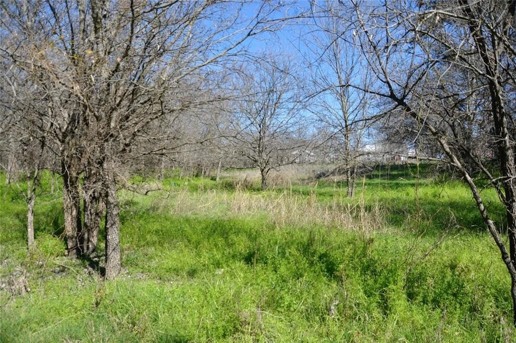 3 acres in Mills County - photo 4