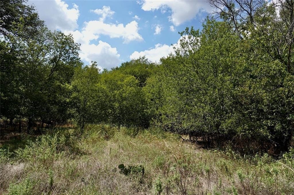 3 acres in Mills County - photo 11