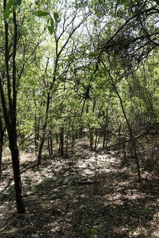 3 acres in Mills County - photo 15