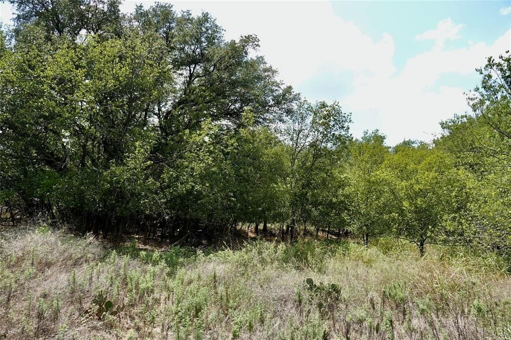 3 acres in Mills County - photo 9
