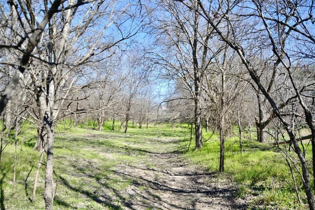 3 acres in Mills County - photo 3