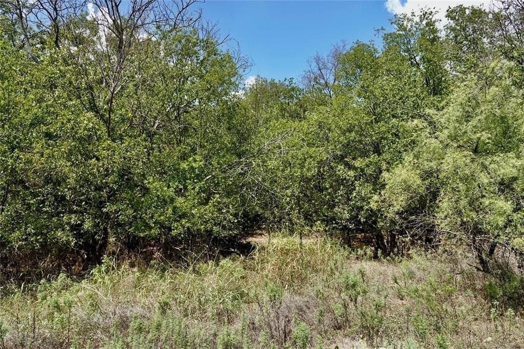 3 acres in Mills County - photo 10