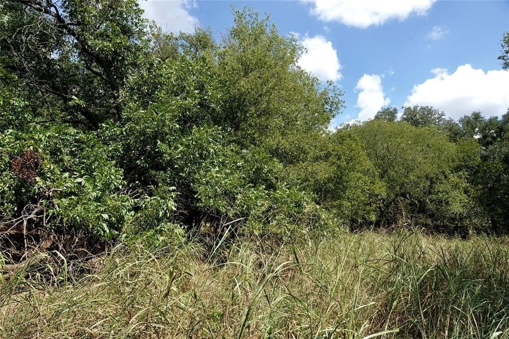 3 acres in Mills County - photo 12