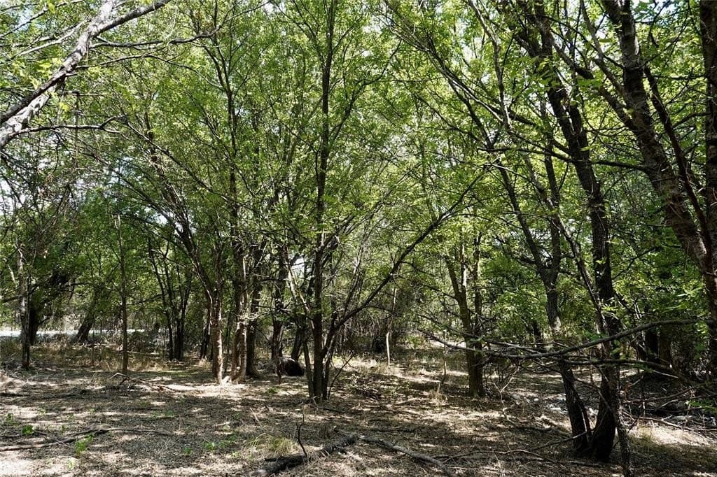 3 acres in Mills County - photo 6