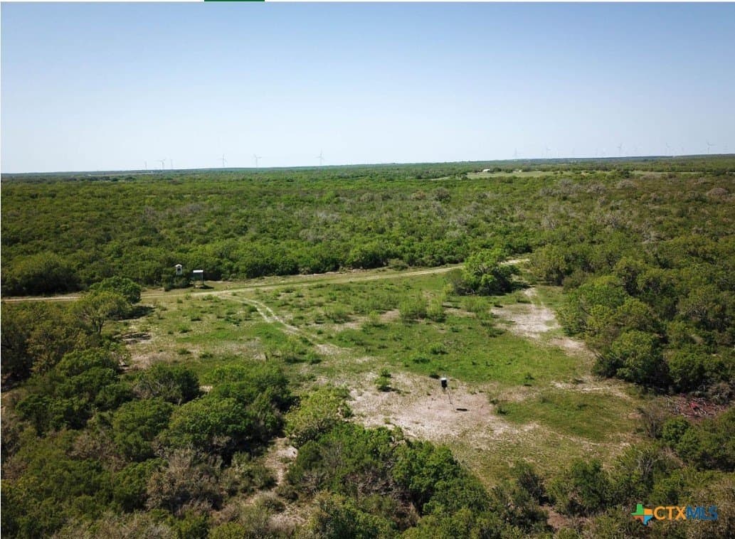 50 acres in Bee County - photo 4