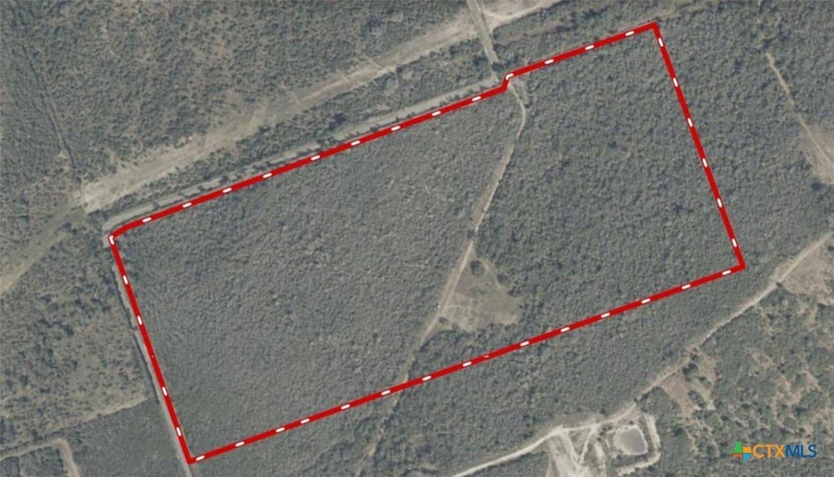 50 acres in Bee County - photo 2