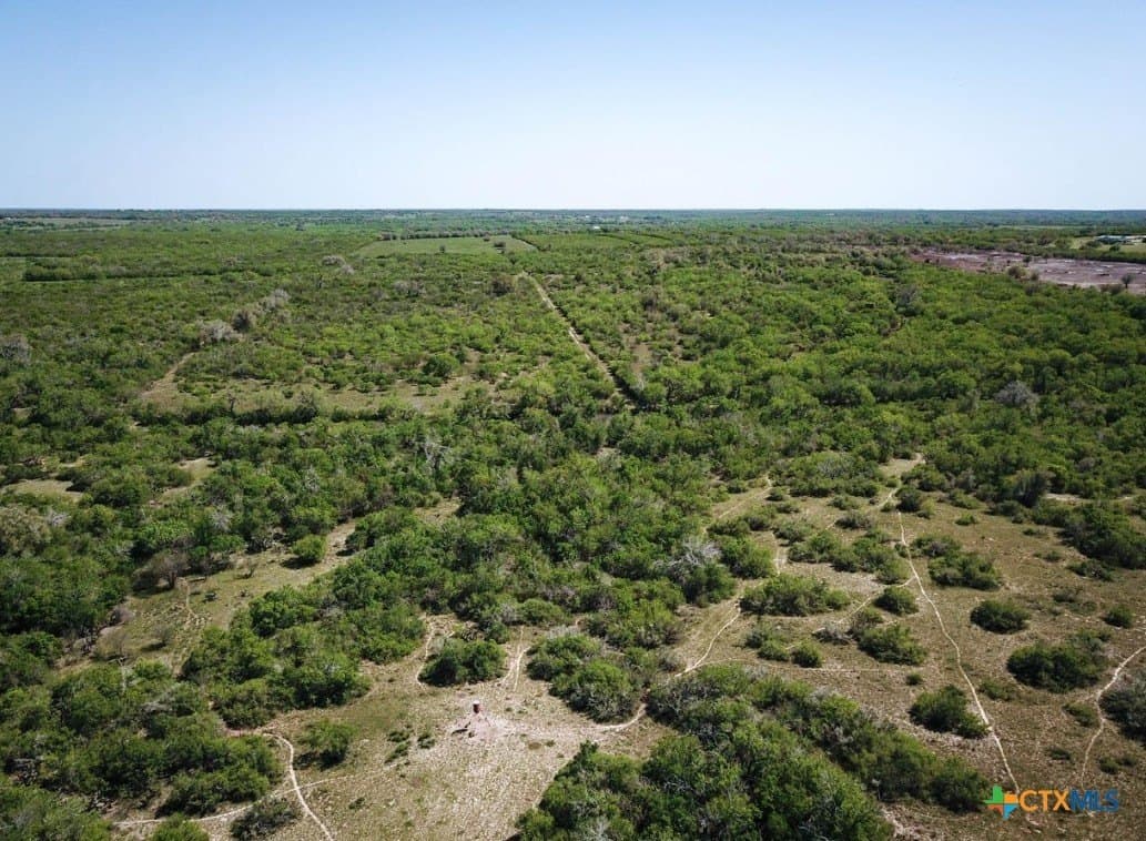 50 acres in Bee County - photo 3