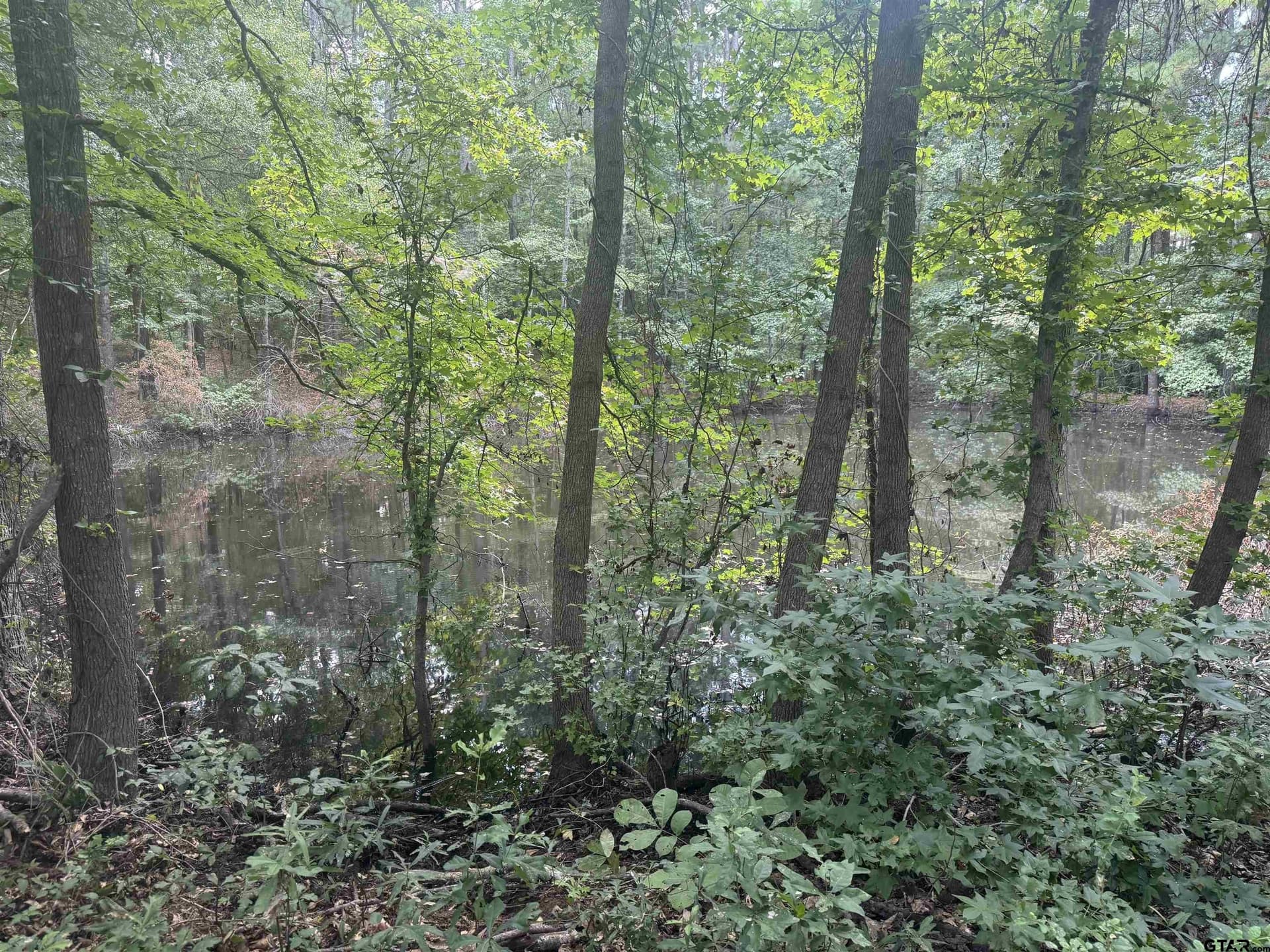 37.39 acres in Cherokee County - photo 17
