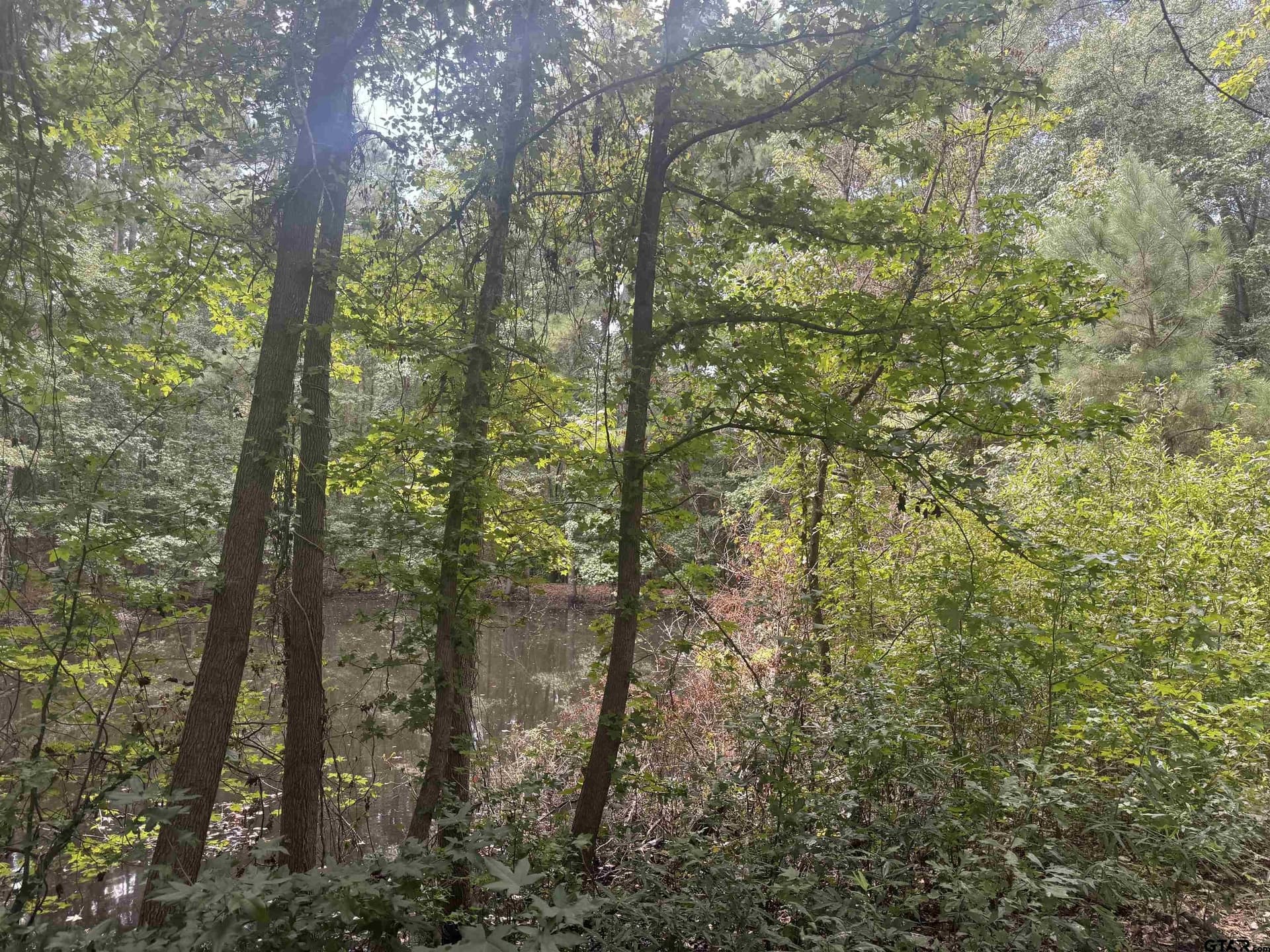 37.39 acres in Cherokee County - photo 18
