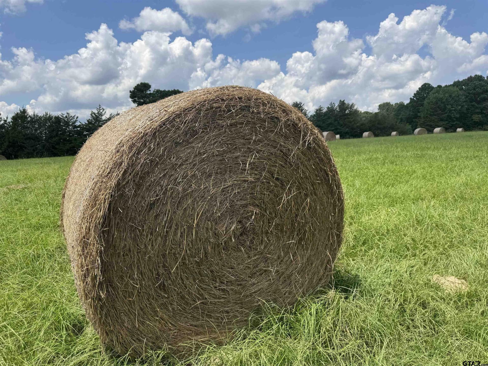 37.39 acres in Cherokee County - photo 11