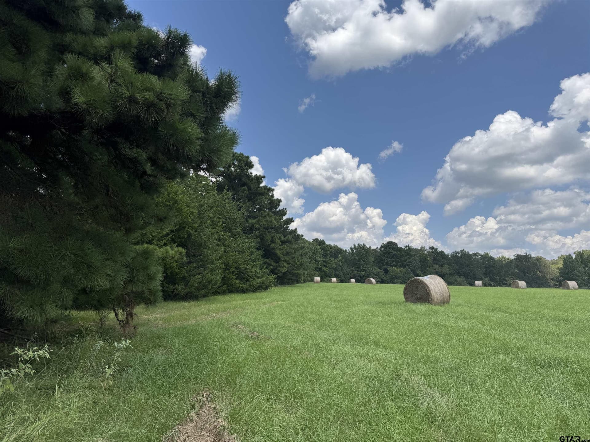 37.39 acres in Cherokee County - photo 7