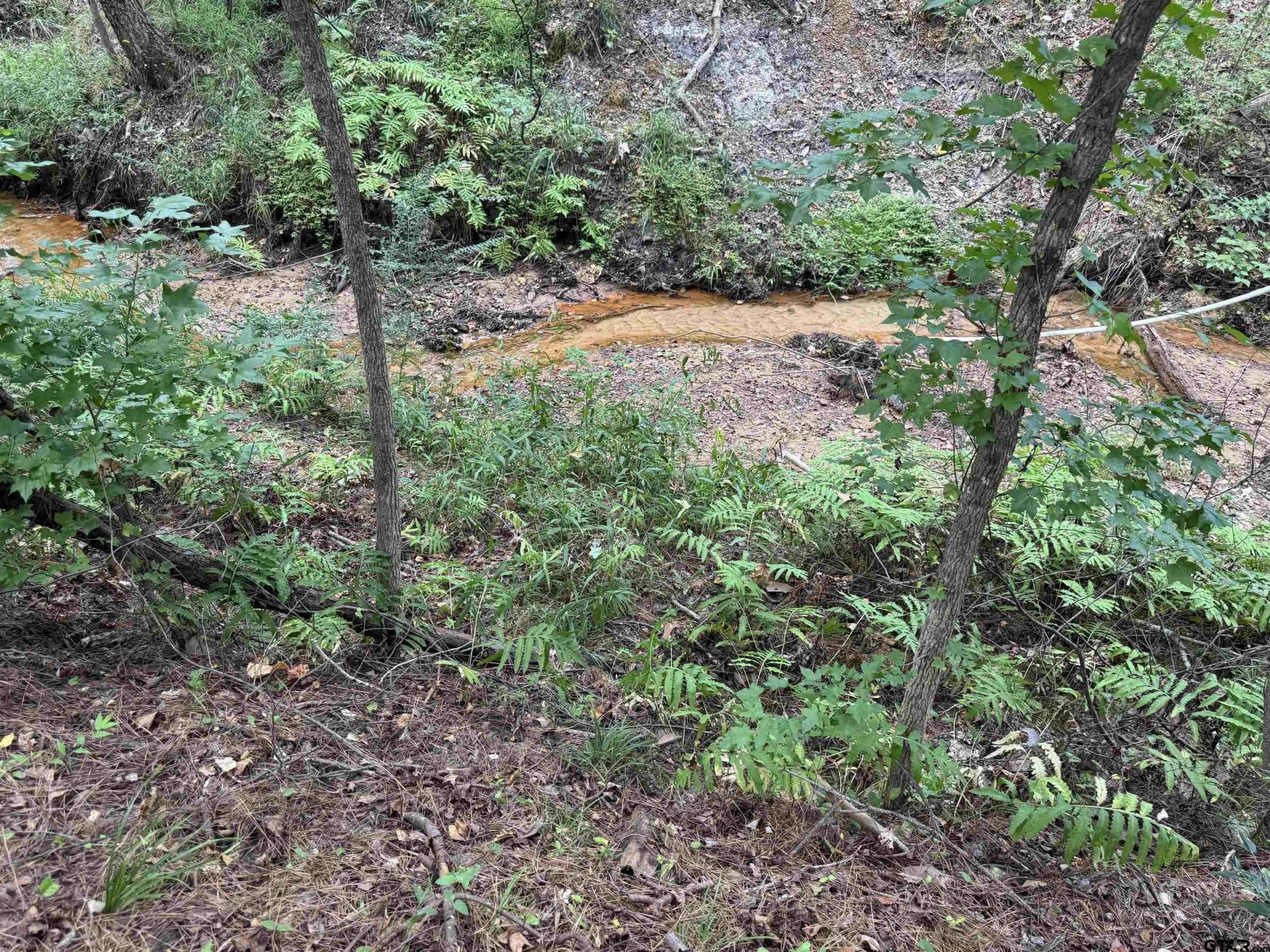 37.39 acres in Cherokee County - photo 27