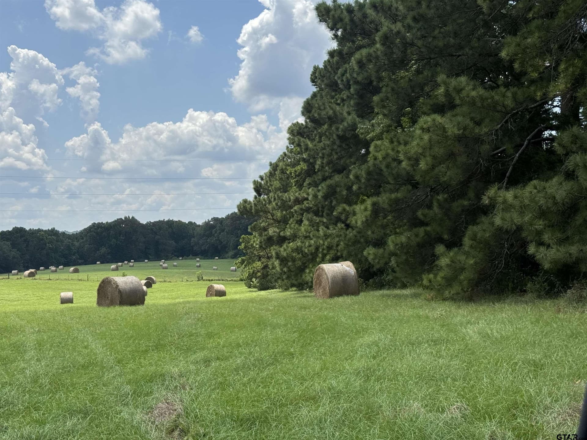 37.39 acres in Cherokee County - photo 10