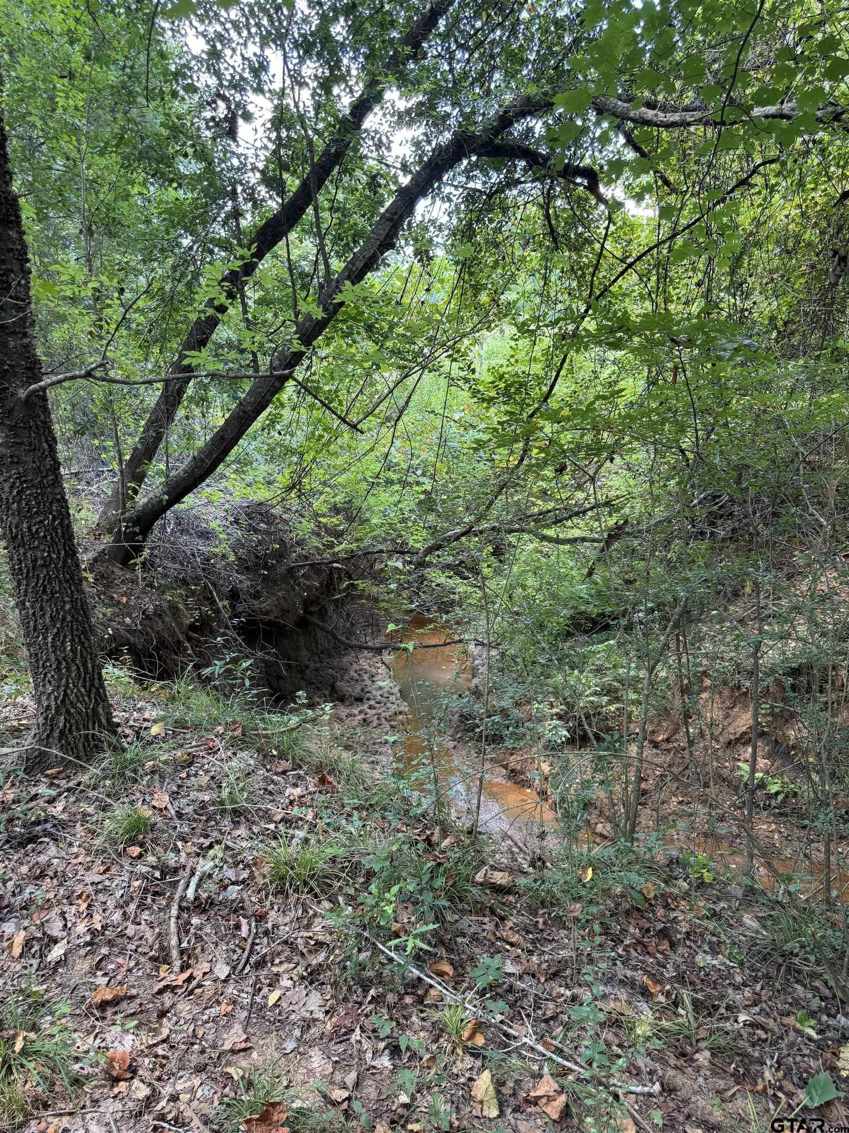 37.39 acres in Cherokee County - photo 26