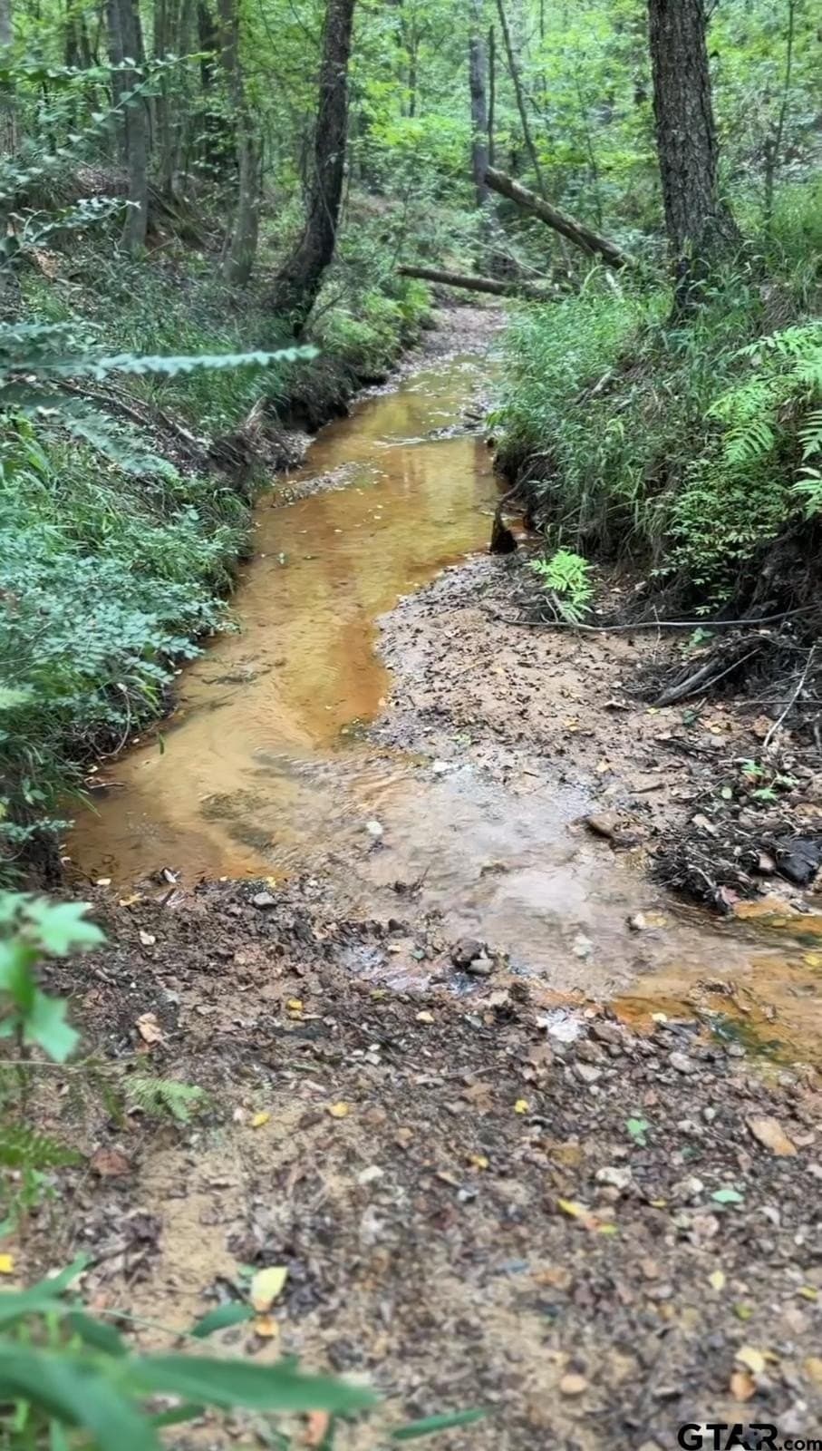 37.39 acres in Cherokee County - photo 3