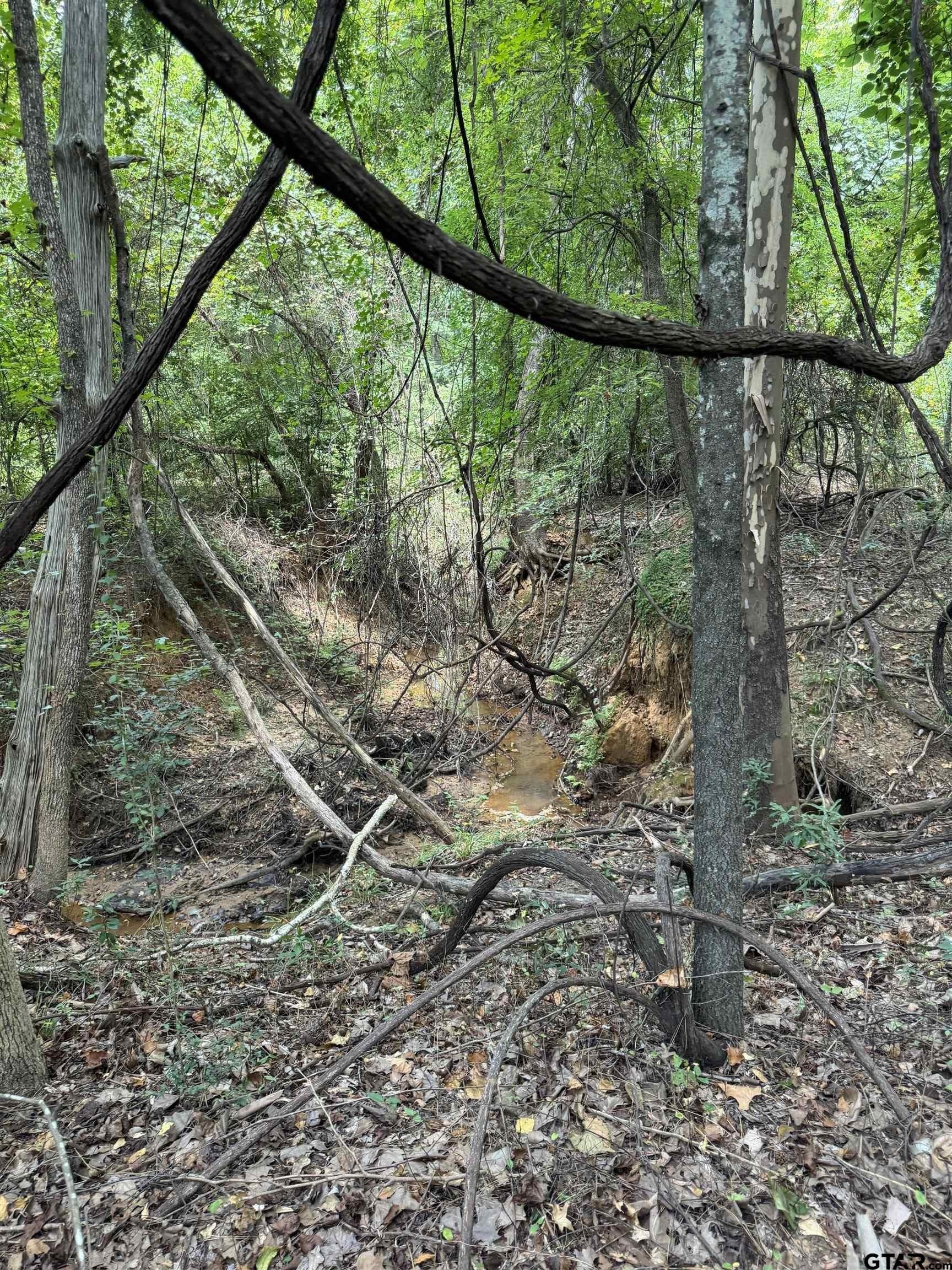 37.39 acres in Cherokee County - photo 25