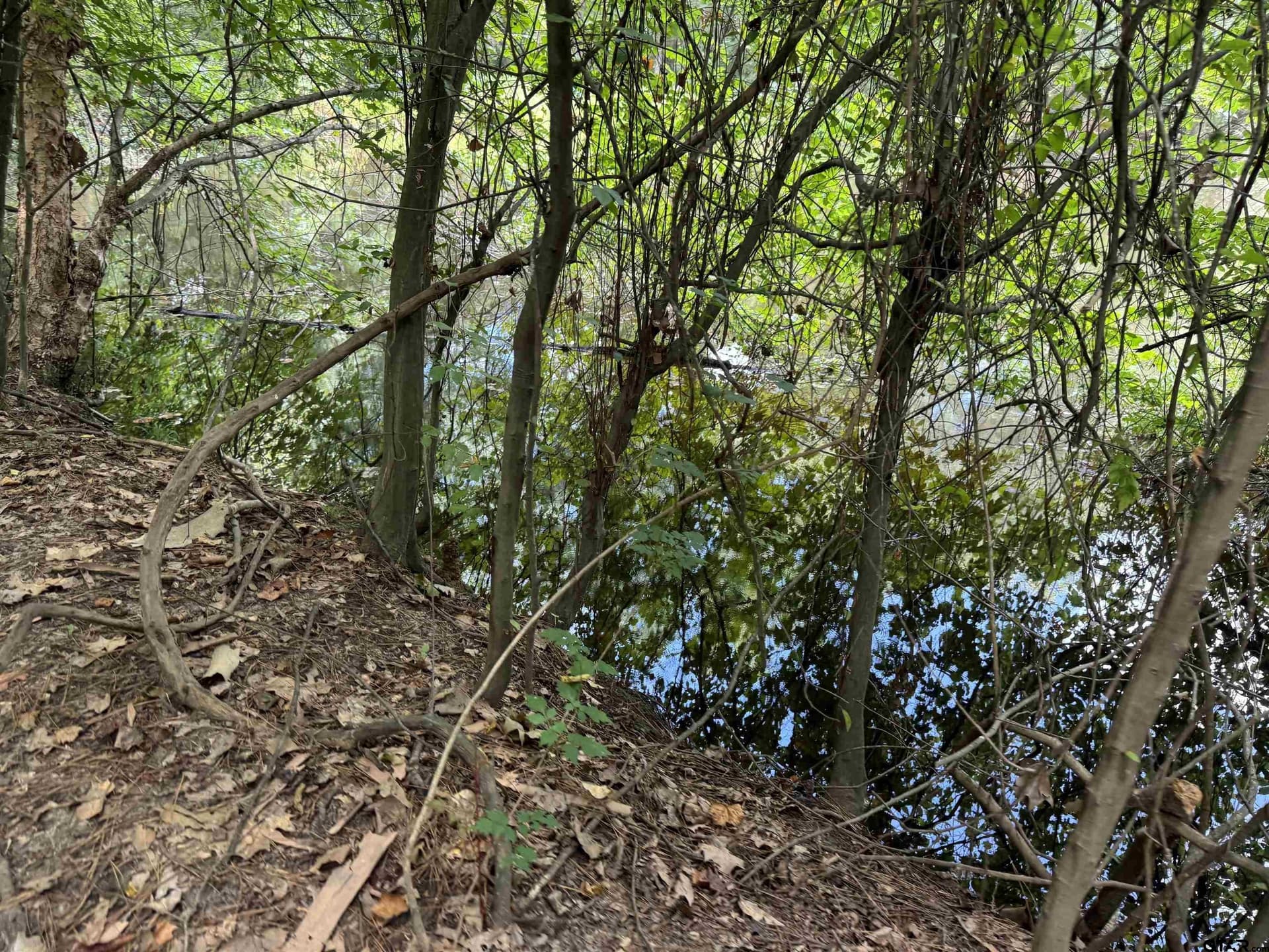 37.39 acres in Cherokee County - photo 34