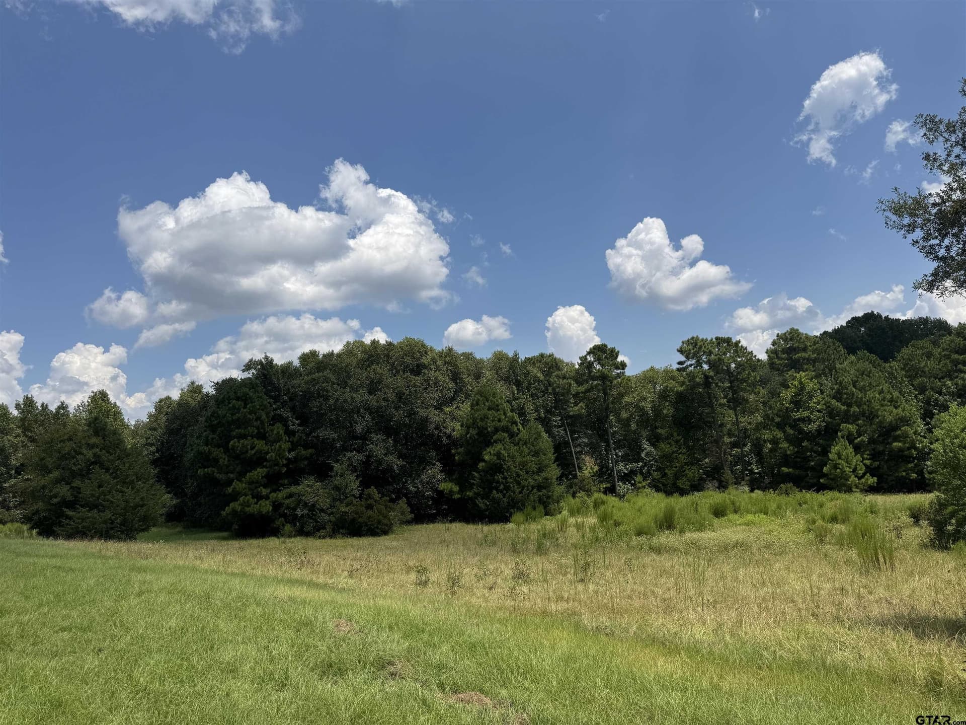 37.39 acres in Cherokee County - photo 13