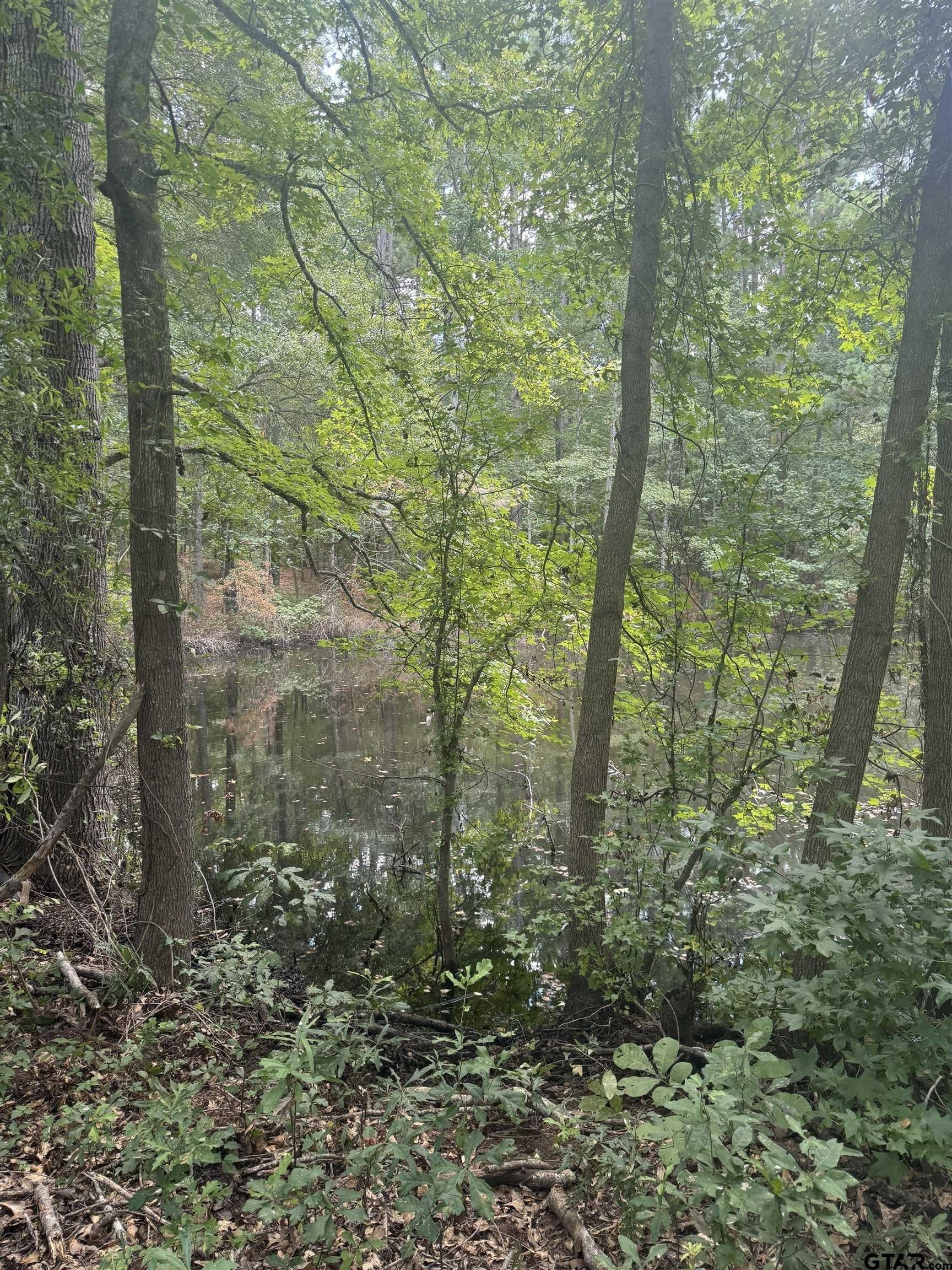 37.39 acres in Cherokee County - photo 19