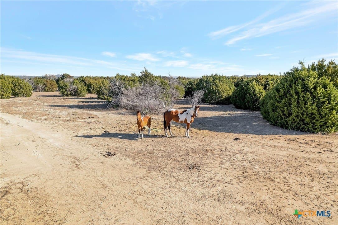 11.52 acres in Bell County - photo 7