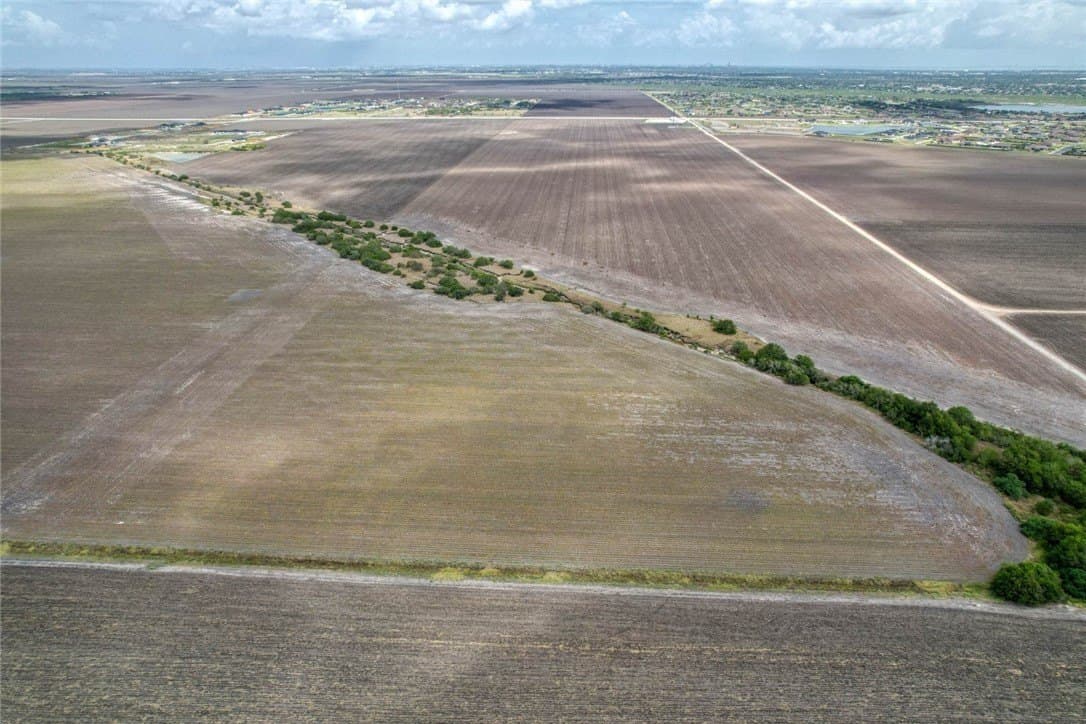 109 acres in Nueces County - photo 4
