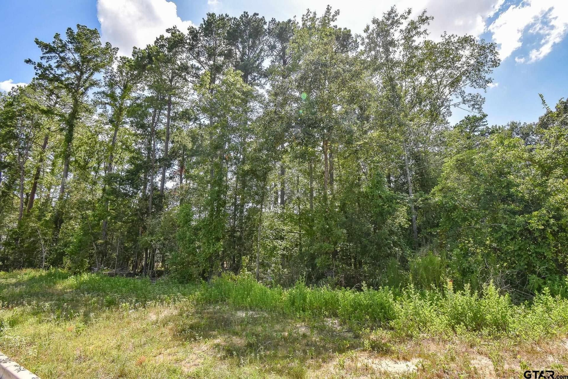 0.57 acres in Smith County - photo 3