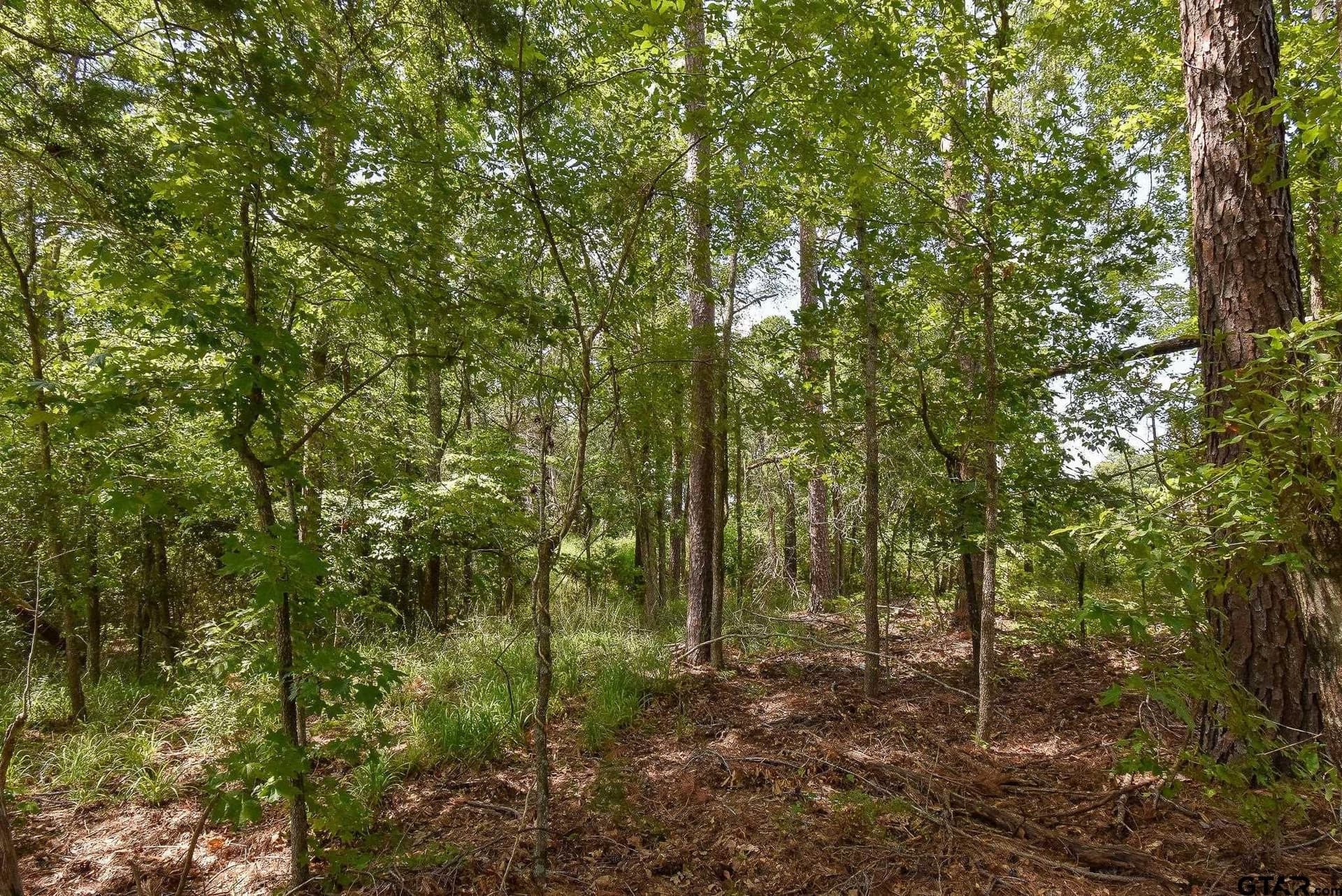0.57 acres in Smith County - photo 5
