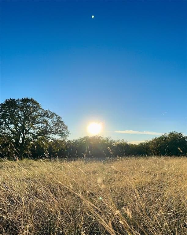 30 acres in Erath County - photo 9