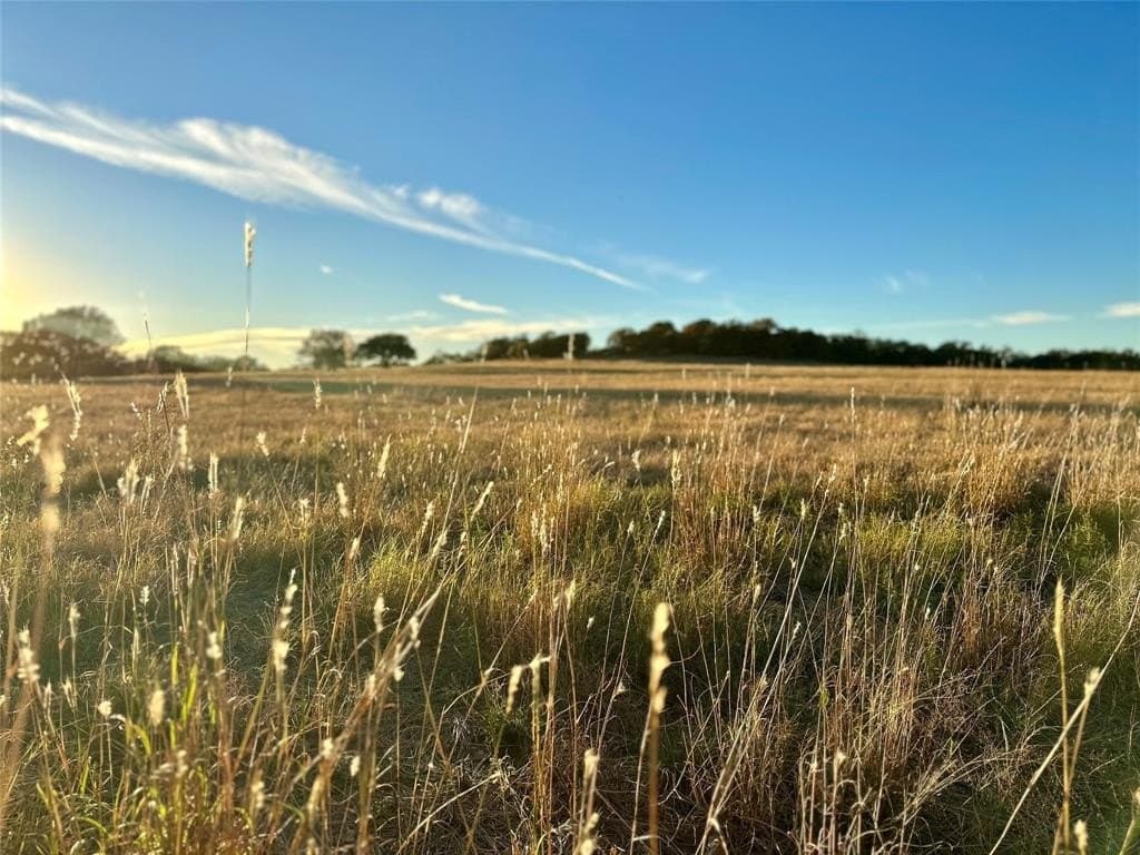30 acres in Erath County - photo 4