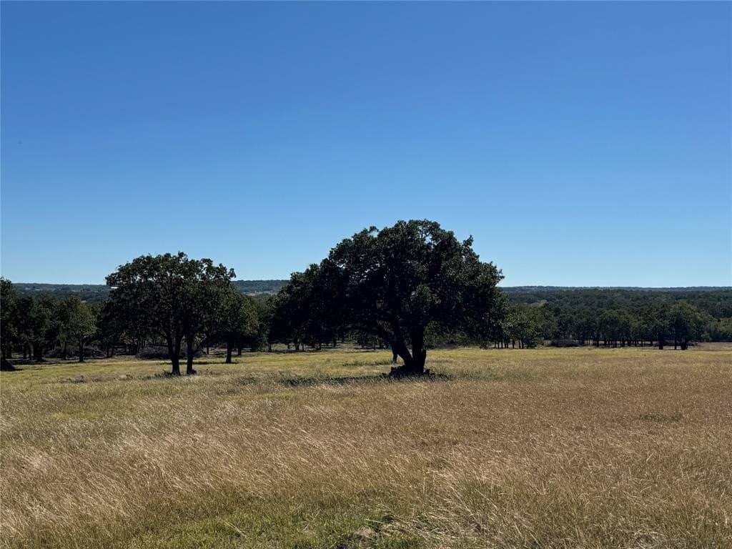30 acres in Erath County - photo 7