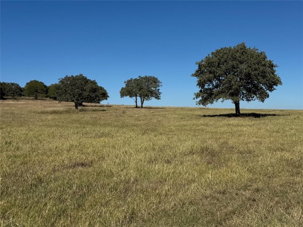 30 acres in Erath County - photo 2