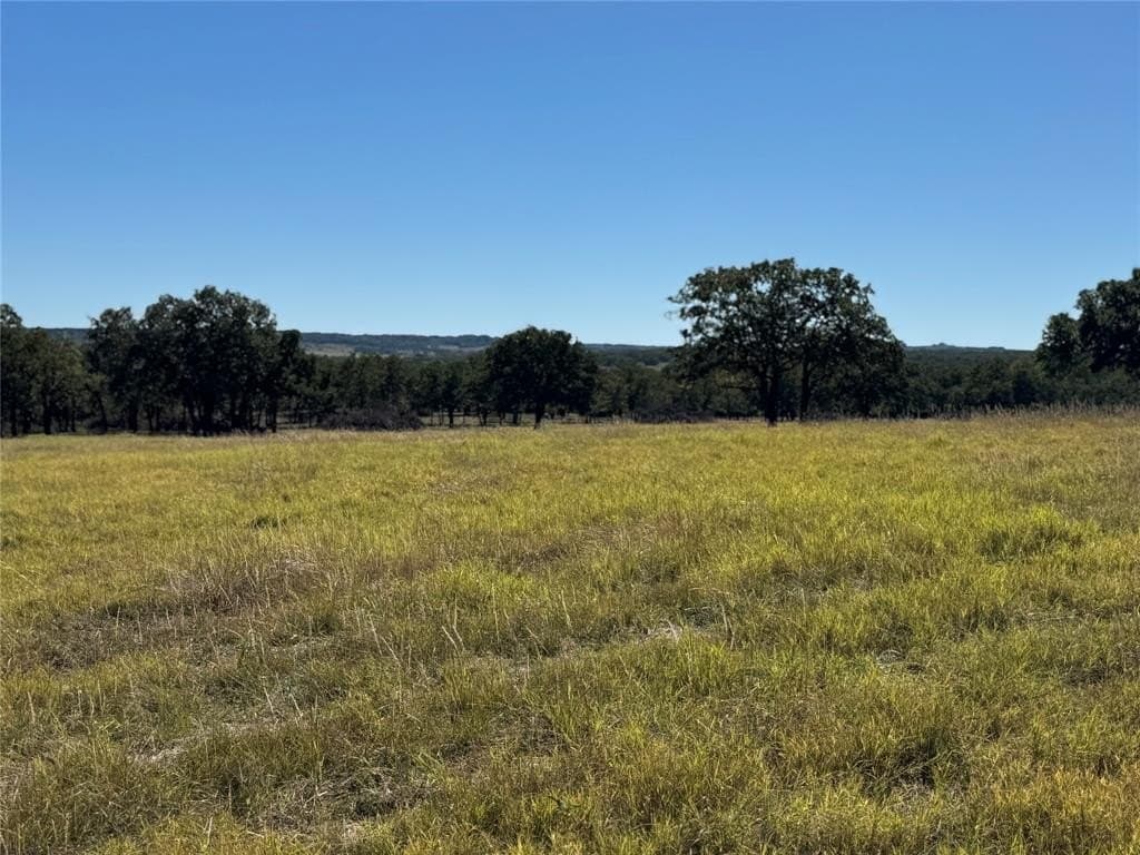 30 acres in Erath County - photo 3