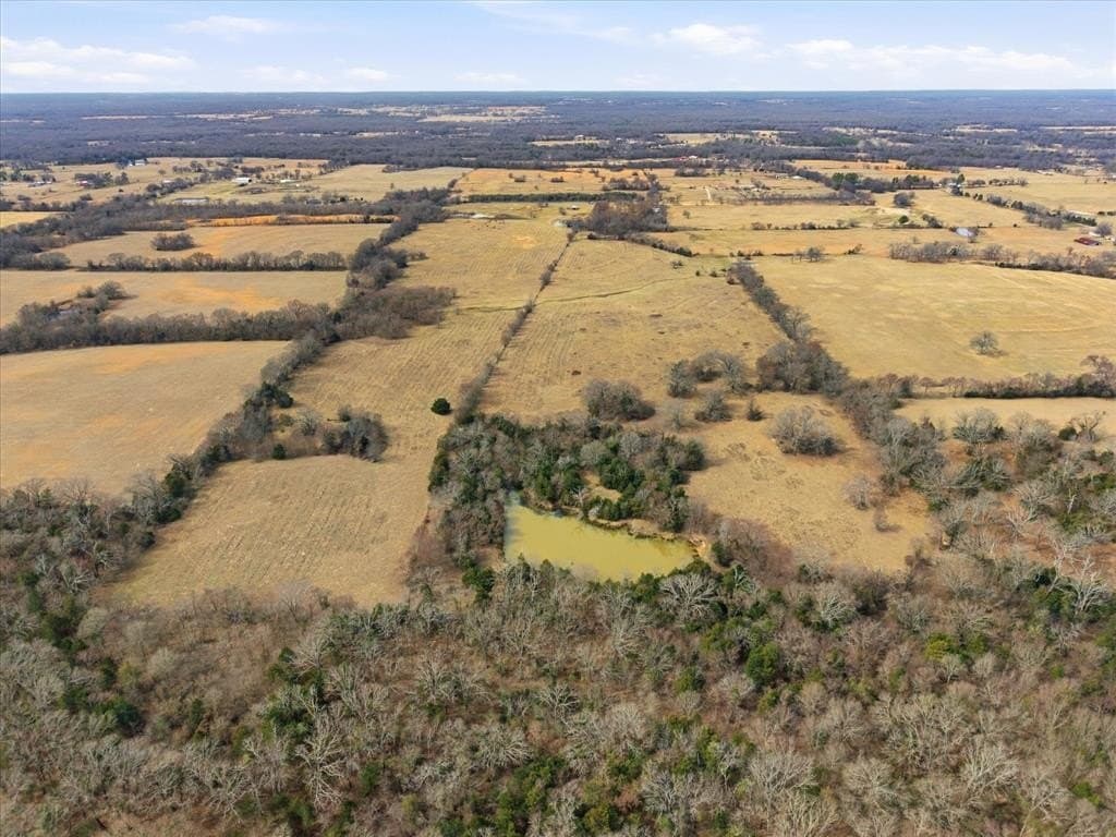 81.88 acres in Rains County - photo 4