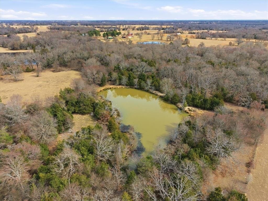 81.88 acres in Rains County - photo 12