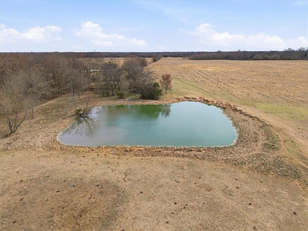 81.88 acres in Rains County - photo 9